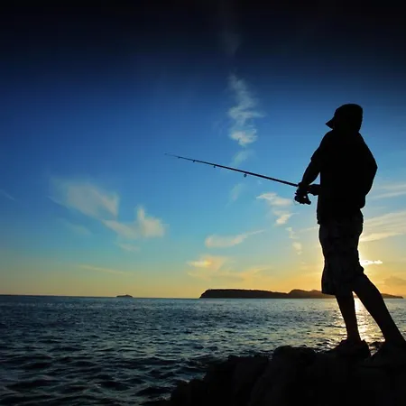 In With Balcony, Air Conditioning, Wifi, Dishwasher 4834-3 Apartman Ždrelac