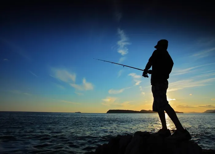 In With Balcony, Air Conditioning, Wifi, Dishwasher 4834-3 Apartman Ždrelac